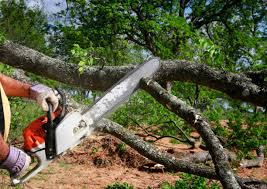 Best Hedge Trimming  in Woodfin, NC